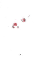 Snirer Blood : チャプター 2 ページ 82