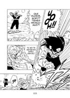 Dragon Ball T  : Chapitre 2 page 15