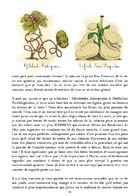 Périple en Terres Schizophrènes : Chapitre 2 page 25