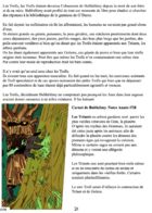 Yggdrasil, dragon de sang : Capítulo 2 página 6