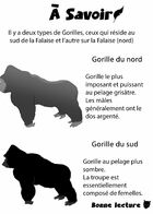 Welcome To The Jungle : Chapitre 2 page 1