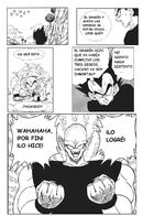 DBM U3 & U9: Una Tierra sin Goku : Capítulo 44 página 17